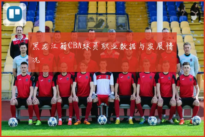 黑龙江籍CBA球员职业数据与发展情况
