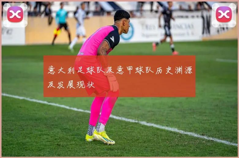 意大利足球队及意甲球队历史渊源及发展现状