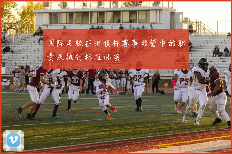 国际足联在世俱杯赛事监管中的职责及执行标准说明