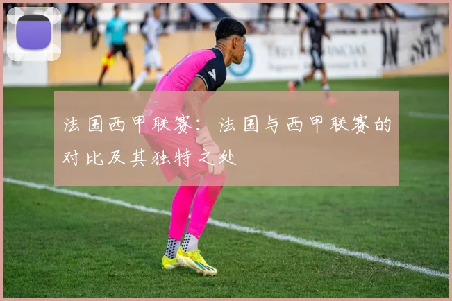 法国西甲联赛:法国与西甲联赛的对比及其独特之处
